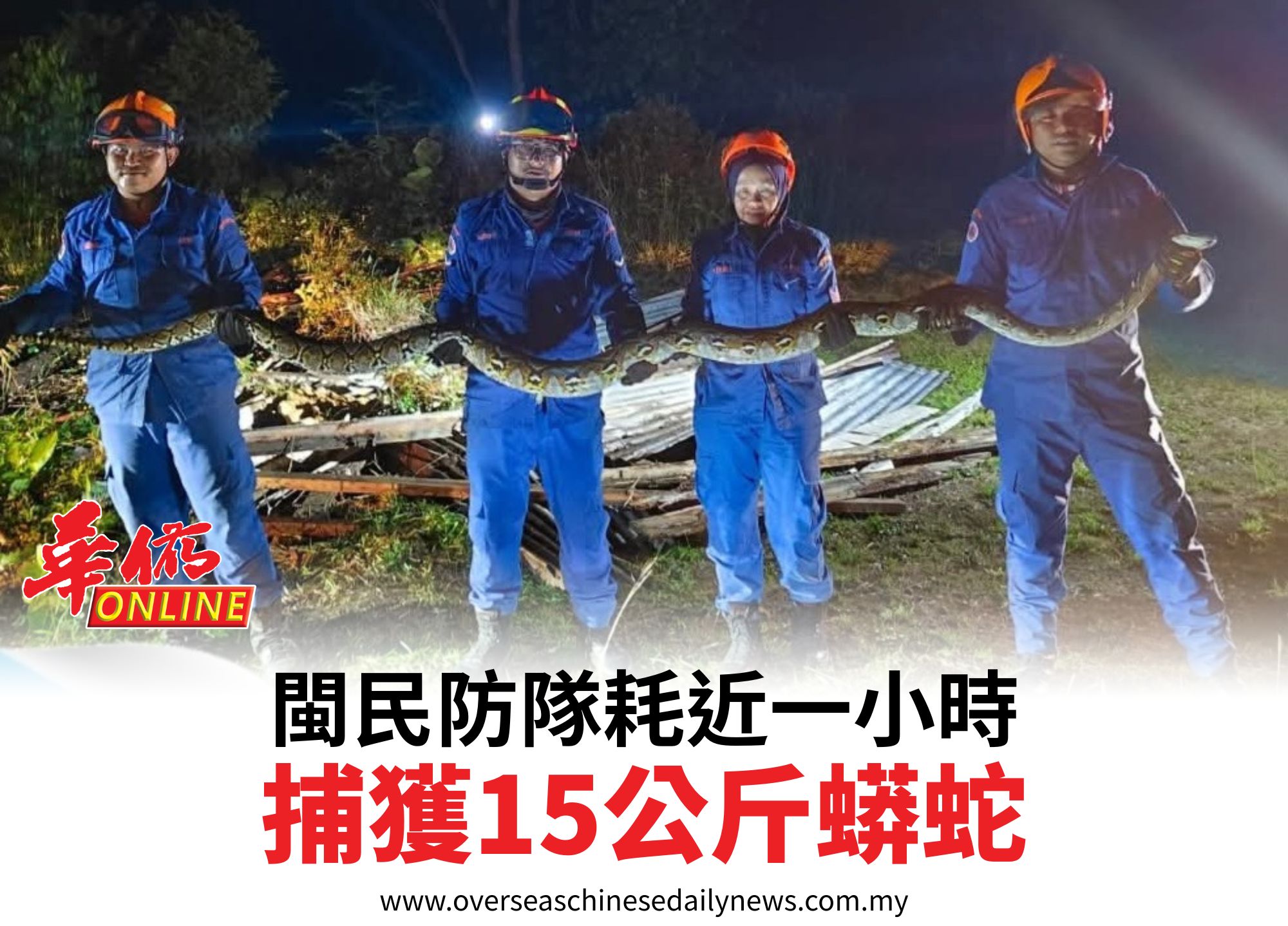 閩民防隊耗近一小時捕獲15公斤蟒蛇