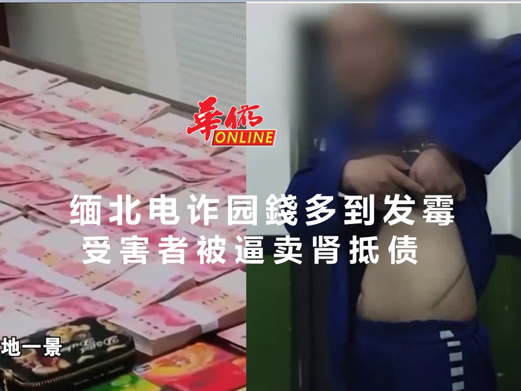 缅北电诈园錢多到发霉 受害者被逼卖肾抵债